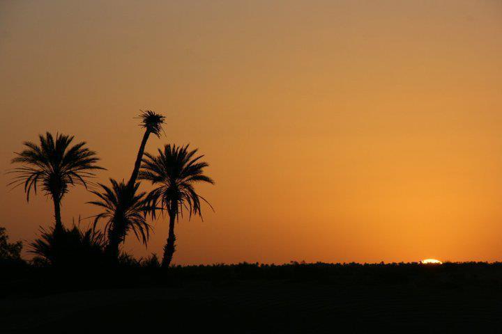 Riad La Maison Du Desert Oulad Driss Εξωτερικό φωτογραφία