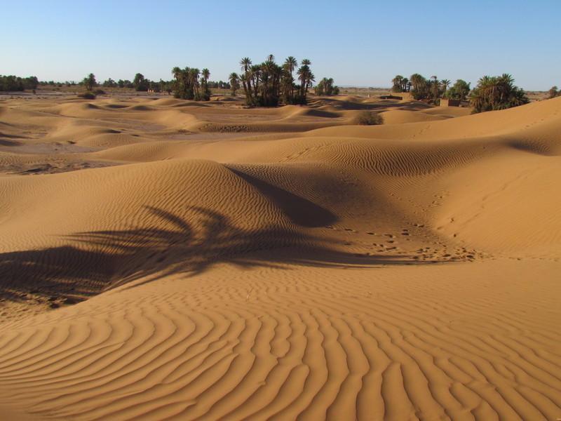 Riad La Maison Du Desert Oulad Driss Εξωτερικό φωτογραφία
